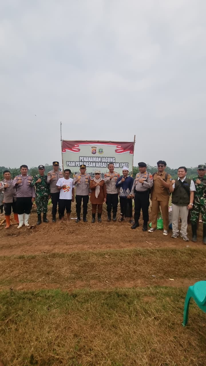 giat-tanam-jagung-di-desa-kampungbaru-kecamatan-pamarayan